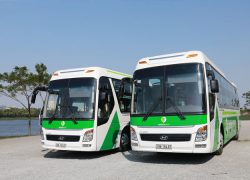 xe-green-bus-di-sapa